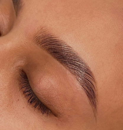 Lash Botox Infusion Workshops